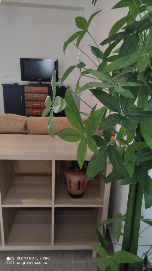 Casa Tia Pilar Holiday home Algodonales